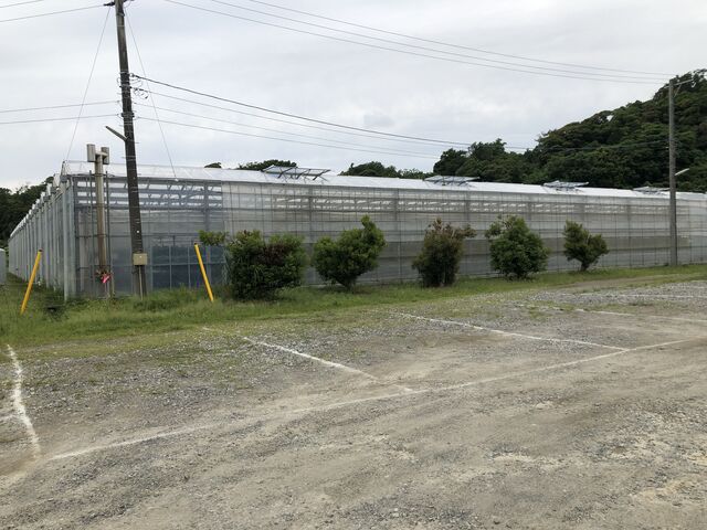 �C�`�S�n�E�X�傫������_�x�ÃA�N�A�t�@�[��