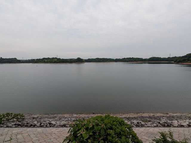 �r_�O�D����