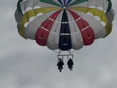 Ђ낳marine shop PETRELւ̓eʐ^1