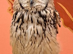 Ђ낳̃ANAtHXg@-̐X-ւ̓eʐ^2