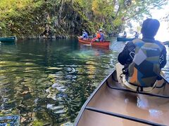 Ƃ悿񂳂̋{ÃAEghAZ^[ւ̓eʐ^1