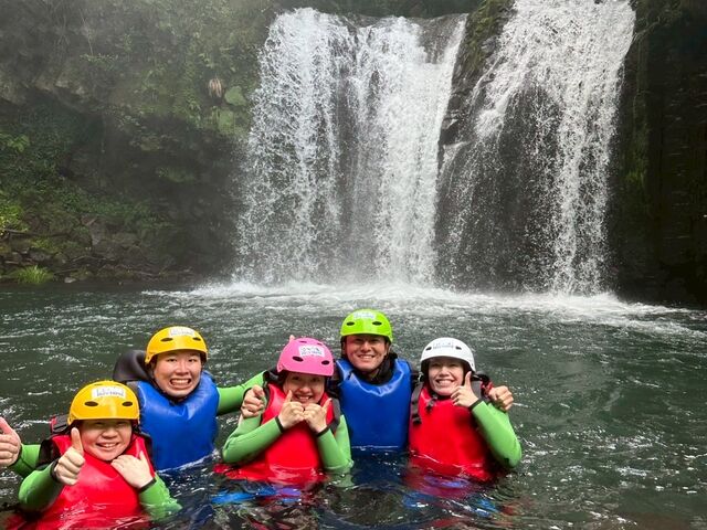 ���i�̑�����������_�t�B�[���h�A�[�X �ɓ�