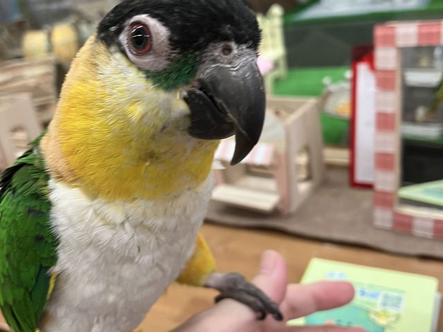 ƗVłꂽYOVnCR_Xm{ Ђ