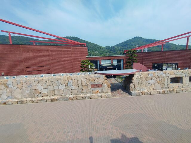 �O��_�S�������ɂ̊� �����^�T�C�N��