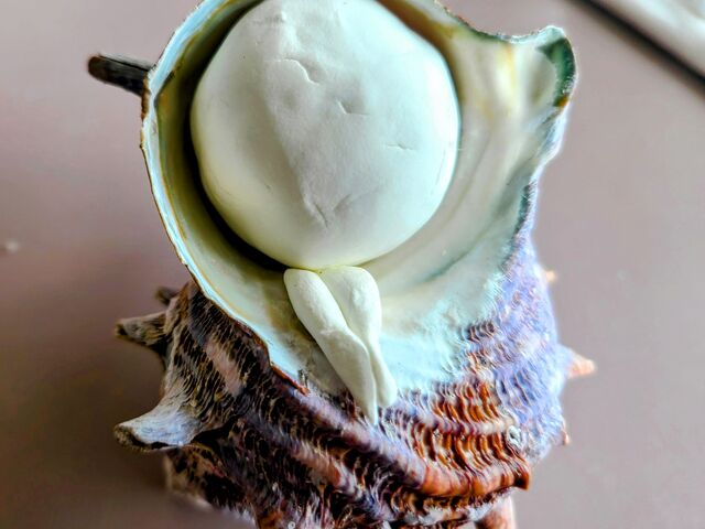 �l�`���X�^�[�g_Atelier House of Clay