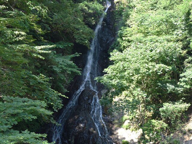 SOłBu{_vɍsۂɂ́AĂ̂ǂƎv܂_̑