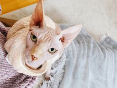 股̔LJtF@gtւ̓eʐ^2