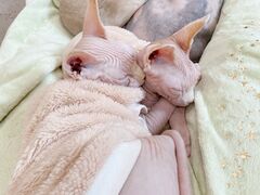 股̔LJtF@gtւ̓eʐ^3