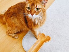 股̔LJtF@gtւ̓eʐ^4