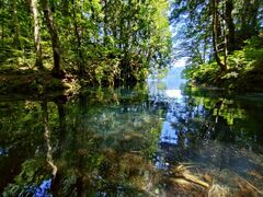 reõOh@RIB Tripւ̓eʐ^1