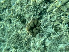 OKK MARINE CLUB̎ʐ^1