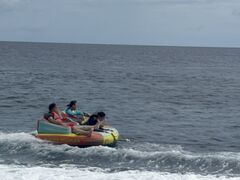 ZCW̌cǊ(P})C攼cA[X@OPGւ̓eʐ^1