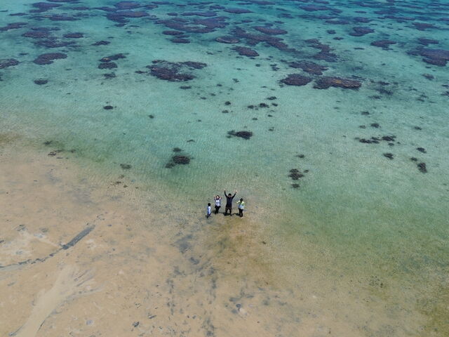 �h���[��_South Blue