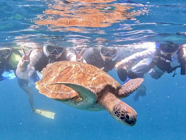 �V���m�[�P��_South Blue