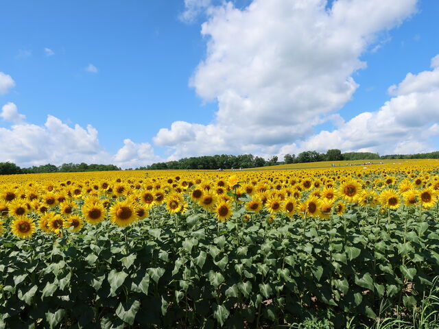 yosshy̓̉w Tt[k̓eʐ^7