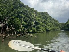 ₢񂳂̐Ί_ ADVENTURE PiPiւ̓eʐ^1