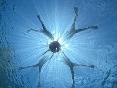 񂳂Diving@Shop Leii_CrOVbvCjւ̓eʐ^1