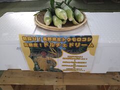 xGiW[t@[@Ƃ̐X̎ʐ^1