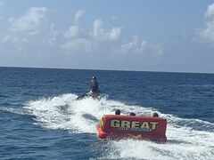 䂫Ȃ̌cǊ(P})C攼cA[X@OPGւ̓eʐ^1