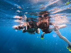 }`SeaChanΊ_ւ̓eʐ^1