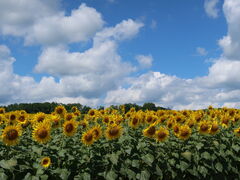 yosshy̓̉w Tt[kւ̓eʐ^1