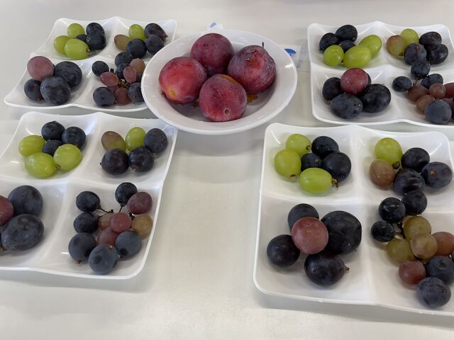 ���H��10��ގ�̂Ԃǂ��Ƀv�����B_�É��b�ʉ�