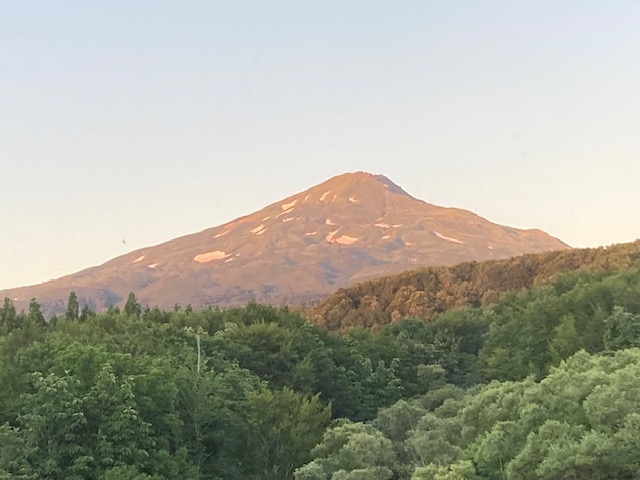 Ă̒5̒CRBɏƂ炳Đ_IłBizetHX^C̕j_CR