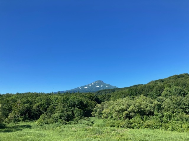 ^Ă̒CRBɎRƗ΂f܂B_CR