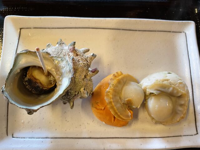 �z�^�e�E�T�U�G�@���������I_�C�������̌��{�݂��Ƃ��݈�