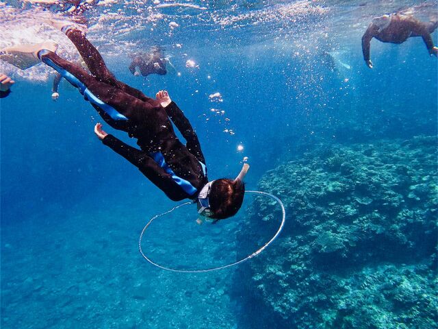 �c�A�[�Q���ŔN���ł��y����ł��܂����B_�p���_�C�X��y��