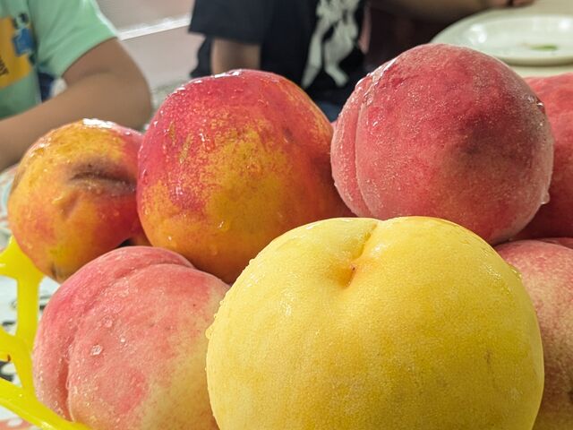 ��ނ����l�ȓ�_�׉ʉ�