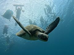 ԃRESHISHIΊ_ւ̓eʐ^1