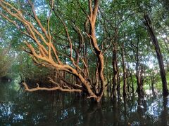 ܂̐Ί_ ADVENTURE PiPiւ̓eʐ^1