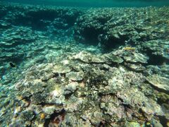 Ƃ񂿂񂳂̐Ί_ ADVENTURE PiPiւ̓eʐ^2