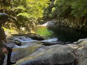 ̃AEghANuACX}̓eʐ^2