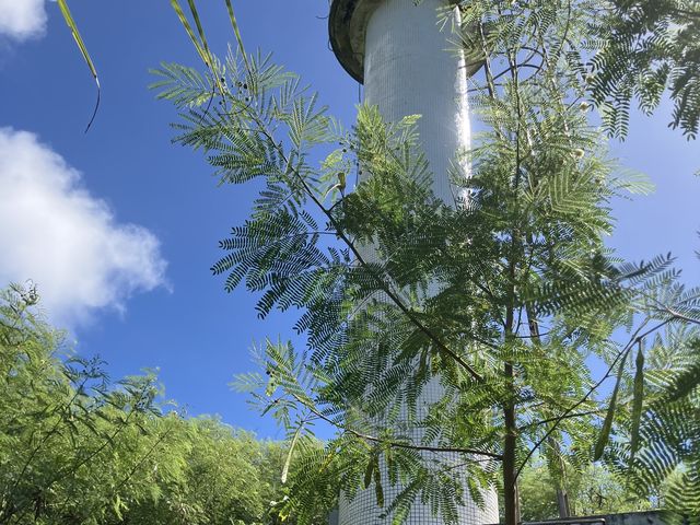 c_���d�R�ό��t�F���[