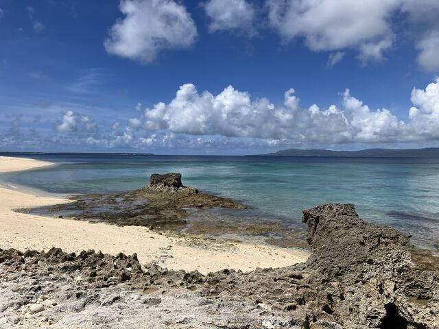 d_���d�R�ό��t�F���[