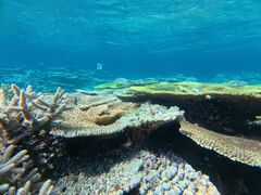 ܂̐\ ADVENTURE PiPiւ̓eʐ^1