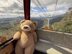 �J�g�L�`����̂̂ڂ�ׂN�}�q��ւ̓��e�ʐ^1