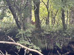 Ib`̂Ăfreetrekkers!ւ̓eʐ^2