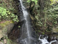 �͂�����̖��t�����@�ւ̓��e�ʐ^1