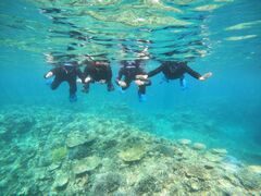 ̐Ί_ ADVENTURE PiPiւ̓eʐ^1