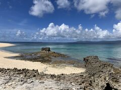 sunfish̔dRόtF[ւ̓eʐ^4