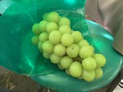 Runåό@Ôւ̓eʐ^1