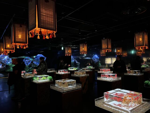 ���������ŋꂵ�����ł���_�A�[�g�A�N�A���E�����p�� GINZA