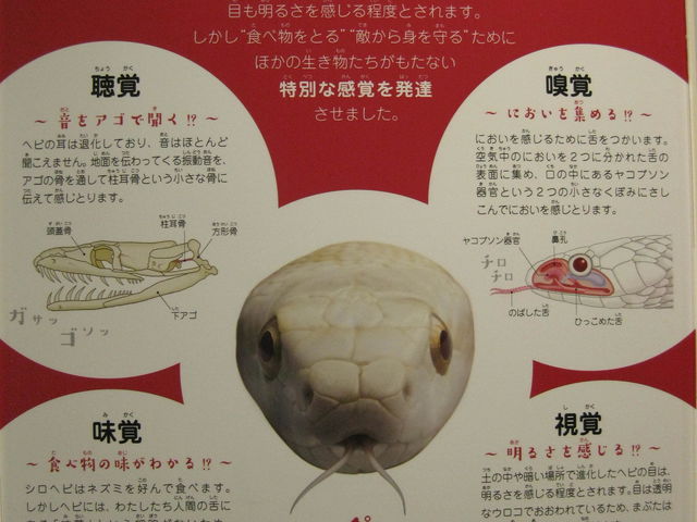 qǂɂ킩₷W_⍑Vwr̊