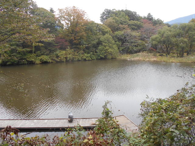 gV[݂̂ǂΓ쑤VW]̓eʐ^1