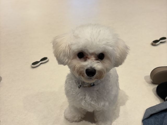 InƂ傱Ƒiӂ͂t߁jŊYĂojN_JtF炢