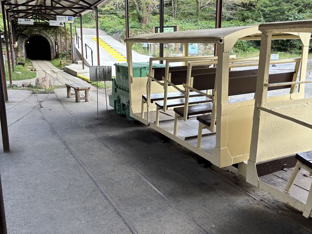 �g���b�R���W������Ă܂����B_���n���R���