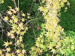 ̈ɐ_{{ic_{jւ̓eʐ^3